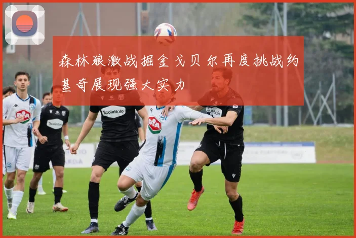 森林狼激战掘金戈贝尔再度挑战约基奇展现强大实力